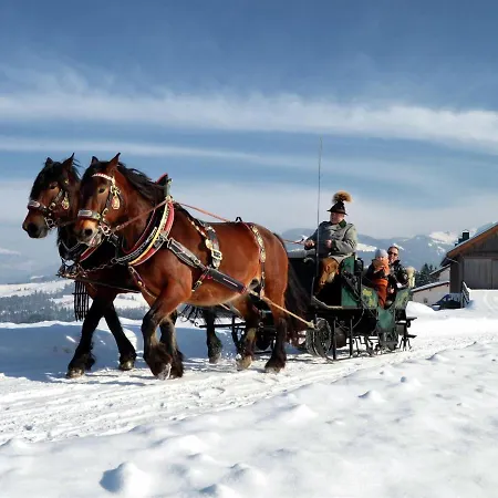 Cozy Holiday On Slopes In 펜션 마리아알름암스타이너르넨미어